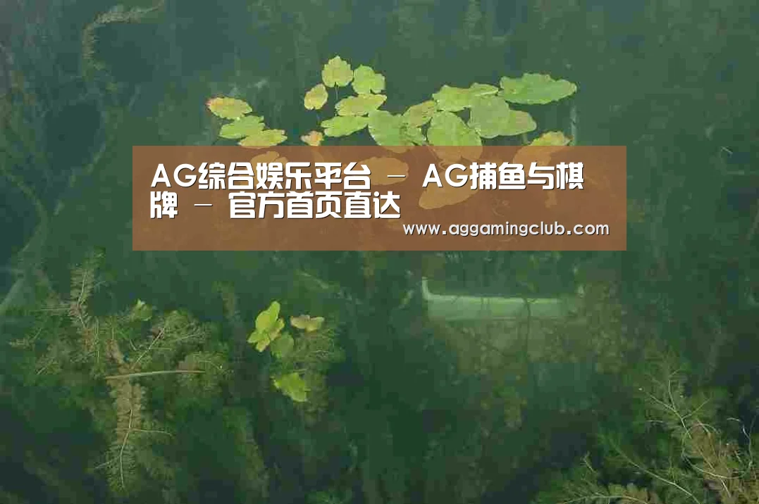 案例展示三
