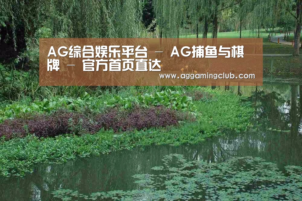 案例展示一