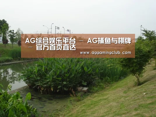 案例展示四