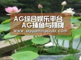 产品名称一